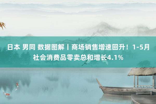 日本 男同 数据图解丨商场销售增速回升！1-5月社会消费品零卖总和增长4.1%