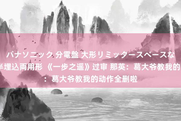 パナソニック 分電盤 大形リミッタースペースなし 露出・半埋込両用形 《一步之遥》过审 那英：葛大爷教我的动作全删啦