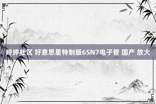 婷婷社区 好意思星特制版6SN7电子管 国产 放大