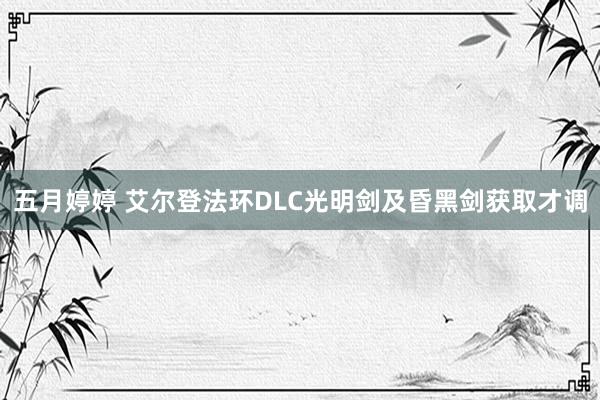 五月婷婷 艾尔登法环DLC光明剑及昏黑剑获取才调