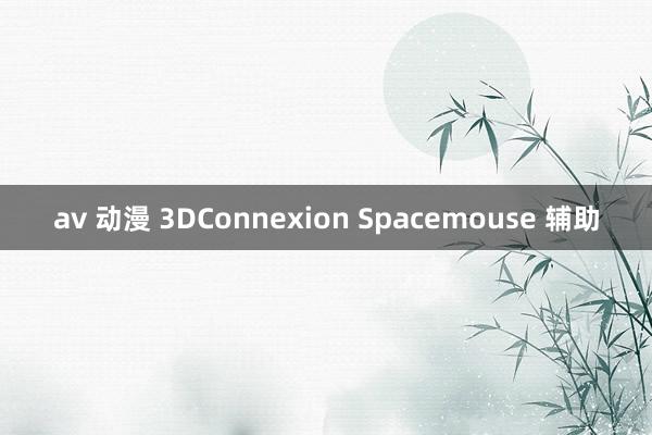 av 动漫 3DConnexion Spacemouse 辅助