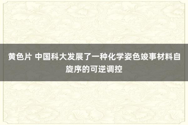 黄色片 中国科大发展了一种化学姿色竣事材料自旋序的可逆调控