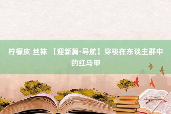 柠檬皮 丝袜 【迎新篇·导航】穿梭在东谈主群中的红马甲