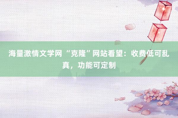 海量激情文学网 “克隆”网站看望：收费低可乱真，功能可定制