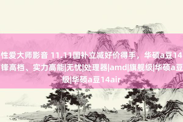 性爱大师影音 11.11国补立减好价得手，华硕a豆14 Air前锋高档、实力高能|无忧|处理器|amd|旗舰级|华硕a豆14air