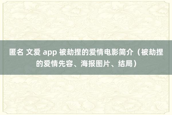 匿名 文爱 app 被劫捏的爱情电影简介（被劫捏的爱情先容、海报图片、结局）