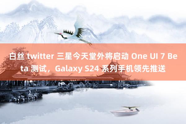 白丝 twitter 三星今天堂外将启动 One UI 7 Beta 测试，Galaxy S24 系列手机领先推送