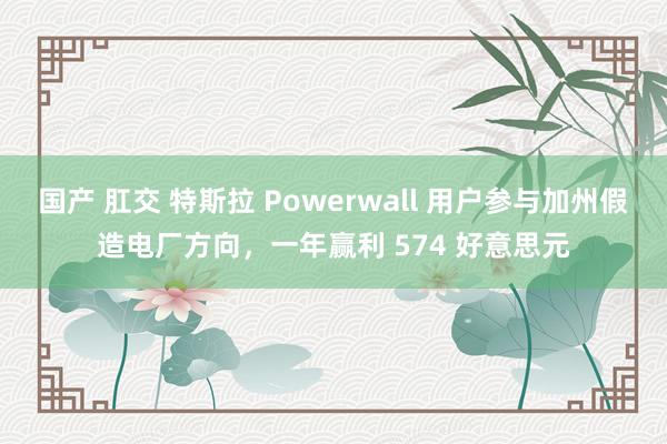 国产 肛交 特斯拉 Powerwall 用户参与加州假造电厂方向，一年赢利 574 好意思元