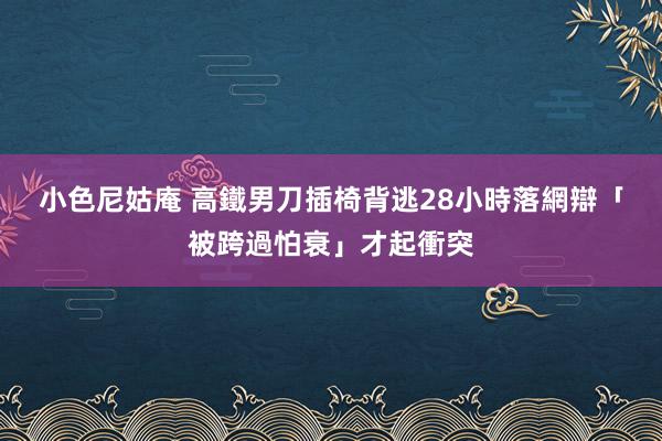 小色尼姑庵 高鐵男刀插椅背逃28小時落網　辯「被跨過怕衰」才起衝突