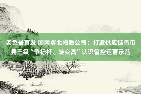 老色哥首发 国网冀北物质公司：打造供应链省市县三级“争标杆、转变高”认识管控运营示范