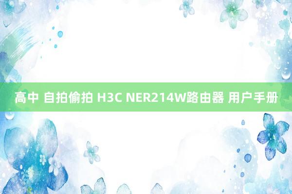 高中 自拍偷拍 H3C NER214W路由器 用户手册