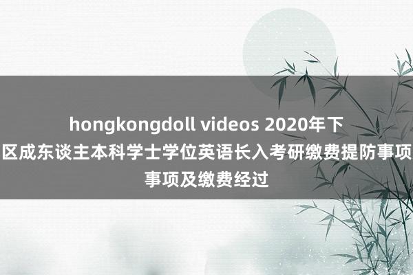 hongkongdoll videos 2020年下半年北京地区成东谈主本科学士学位英语长入考研缴费提防事项及缴费经过