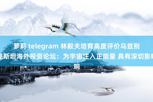 萝莉 telegram 林毅夫培育高度评价乌兹别克斯坦海外投资论坛：为宇宙注入正能量 具有深切影响