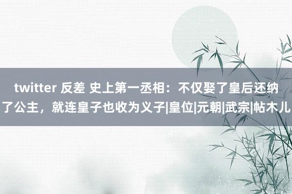 twitter 反差 史上第一丞相：不仅娶了皇后还纳了公主，就连皇子也收为义子|皇位|元朝|武宗|帖木儿